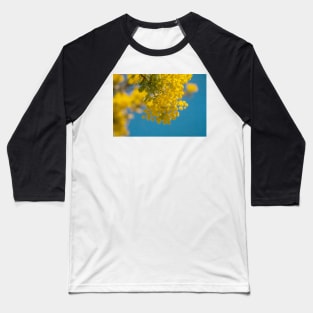 Wattle 2 Baseball T-Shirt